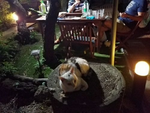 rblog-20180726105005-00.jpg