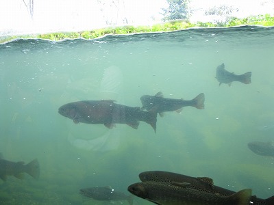 IMG_3820.jpg