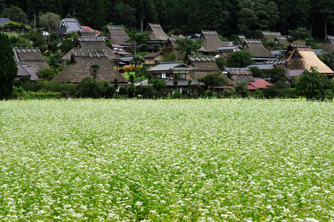 美山１