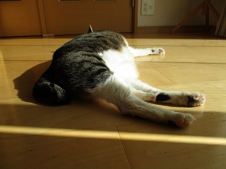 IMG_4228ss.jpg