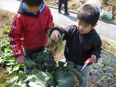 画像 4567.jpg
