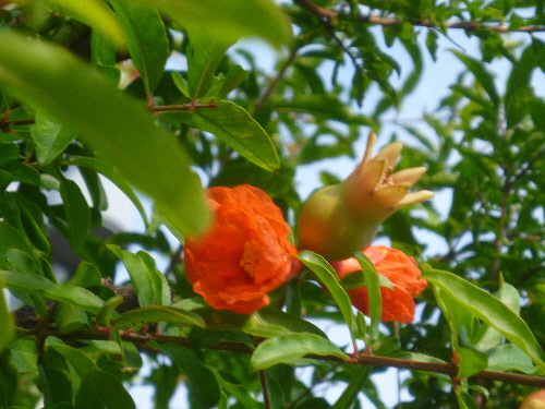 P1120759(1).JPG