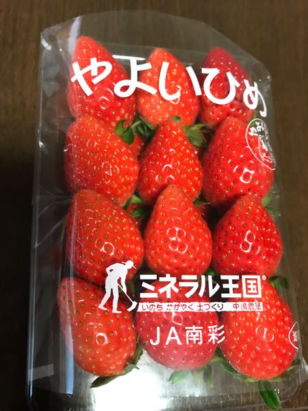 rblog-20190124185425-08.jpg