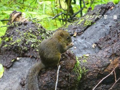 20160726 タンゴ寺8
