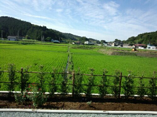 rblog-20150705053954-01.jpg