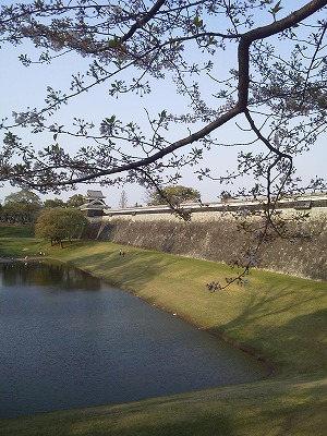 NEC_2312.jpg