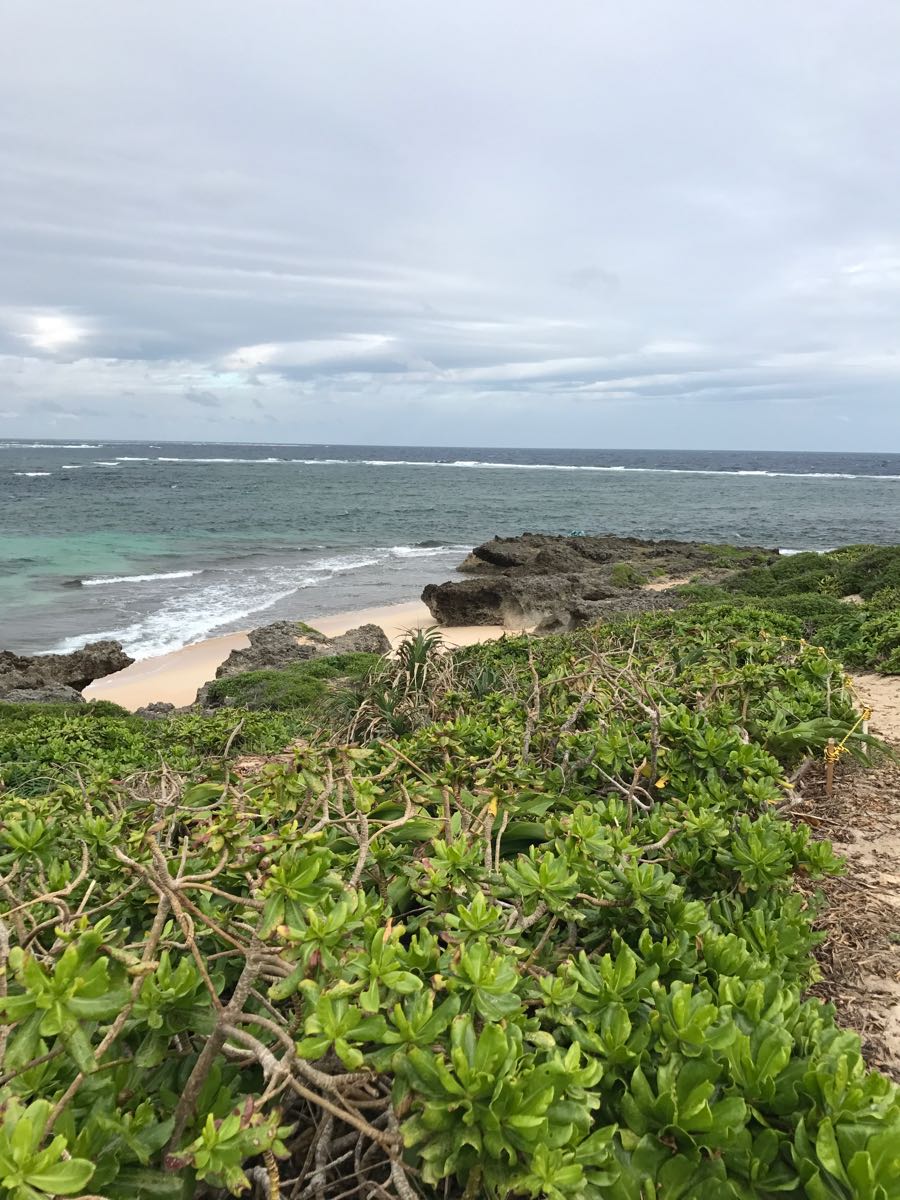 rblog-20190111152044-01.jpg