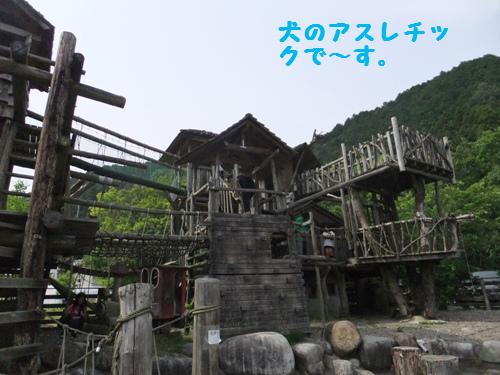 DSCF1148-1.jpg