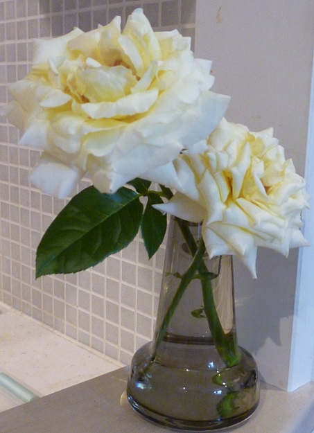 P1200121画像1.jpg