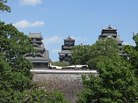 IMG_4841.jpg