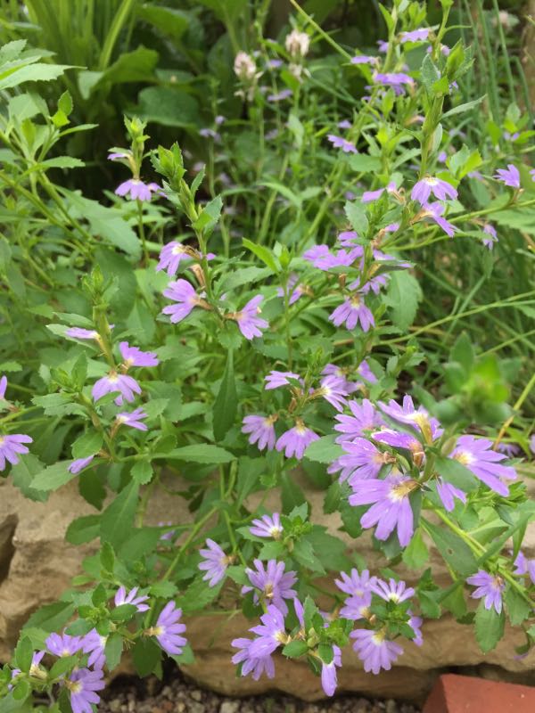 rblog-20160605210832-04.jpg