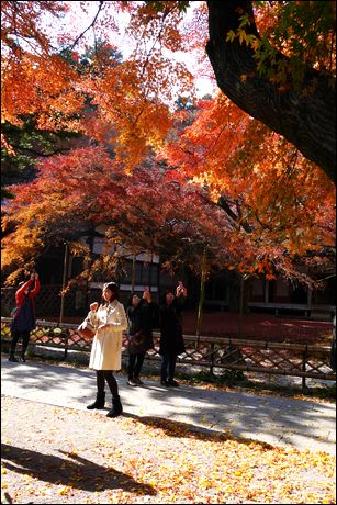 千如寺の紅葉03