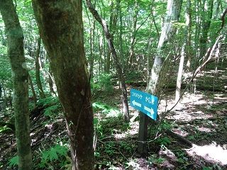 男池からの平治岳登山！ | 酔いどれ日記（夢に向かって） - 楽天ブログ