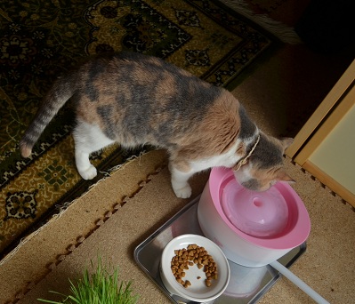 2012.5.17water2.jpg