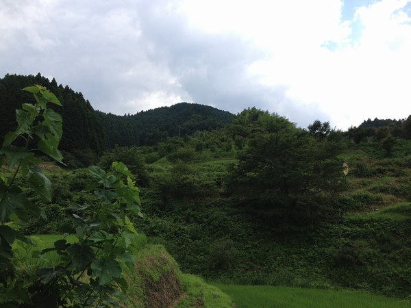 4実家山２6007月.jpg