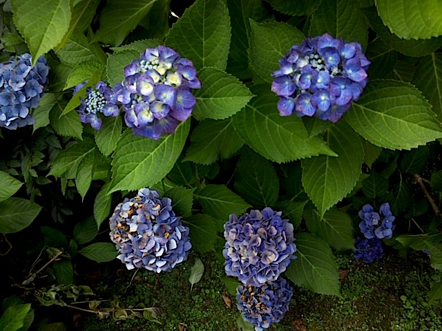 120630_132351.jpg