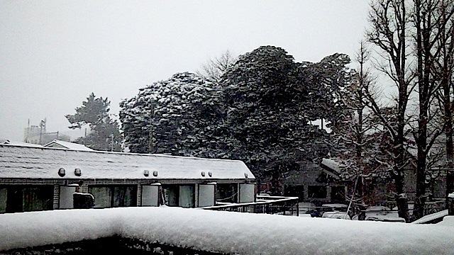 140208_143259.jpg