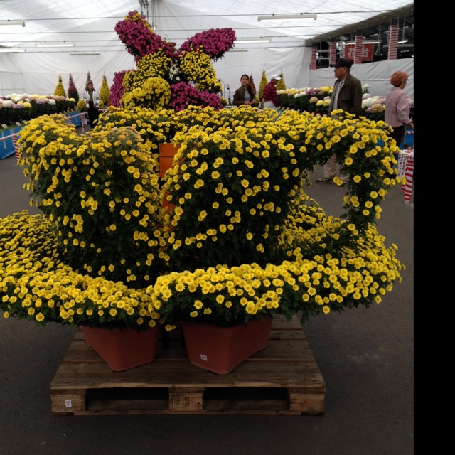 rblog-20131111133412-02.jpg