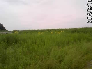 北の奥の土塁２