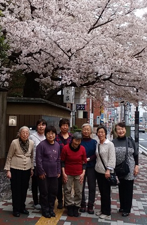 市川新婦人コーラス桜の下で１ー２.jpg