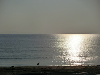 CIMG8074.jpg
