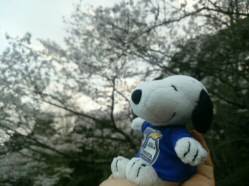 rblog-20160401201554-01.jpg