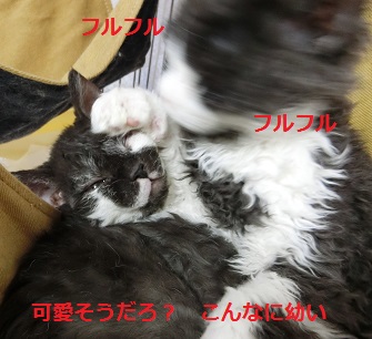 1218