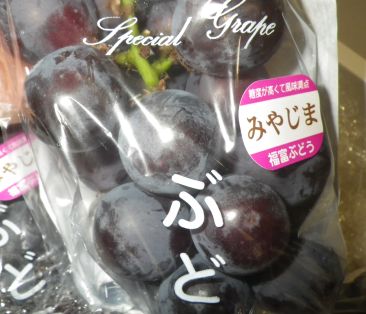 ブドウ　希少種
