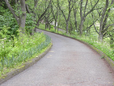 DSCN9110.jpg