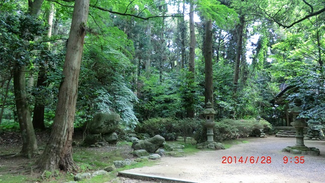 CIMG0223.JPG