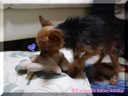 P1260418.jpg