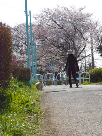 はな