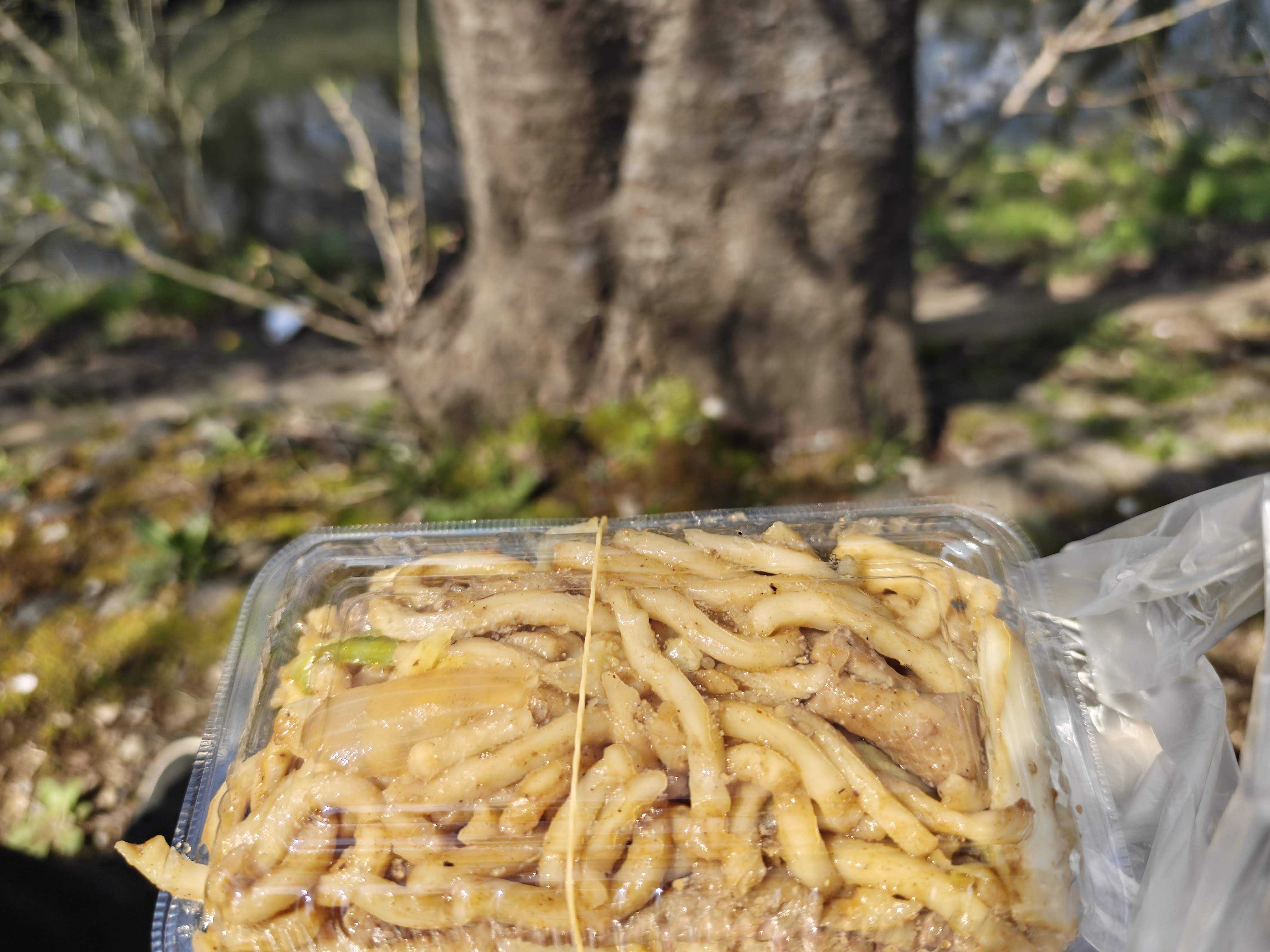 千葉県船橋市　お花見　海老川河川敷　海老川ジョギングロード　屋台飯