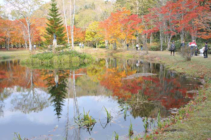 紅葉 | 十勝よろず写真館 - 楽天ブログ