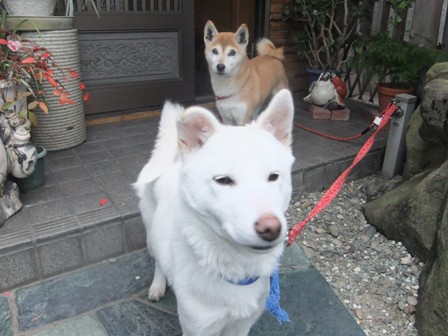 DSCF6293.JPG