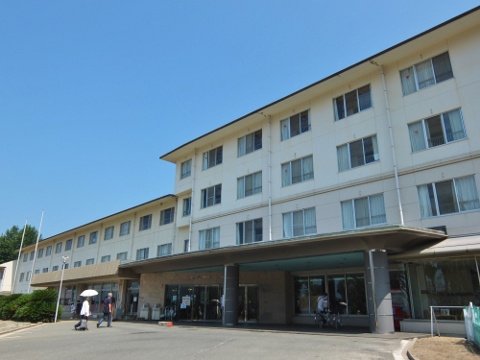 うさぎ島 大久野島 rabbit island bunny