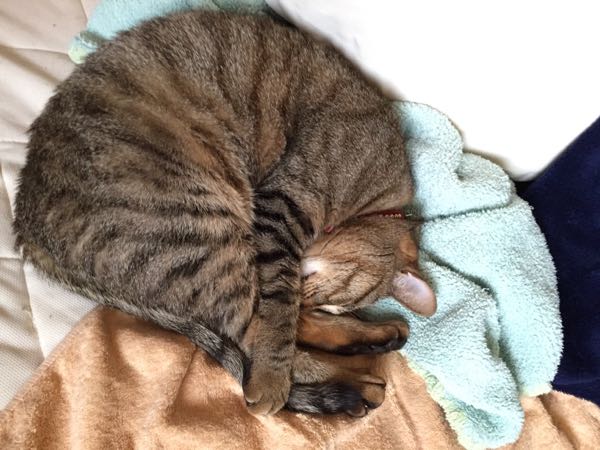 rblog-20150519222635-01.jpg