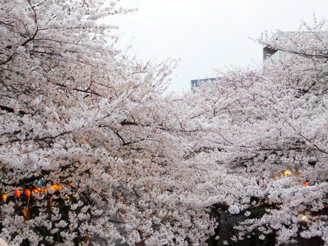 DSCF3670.JPG