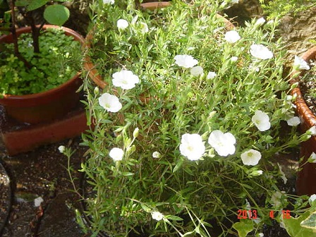 DSC01042.JPG