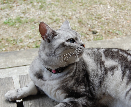 DSC_0235.JPG