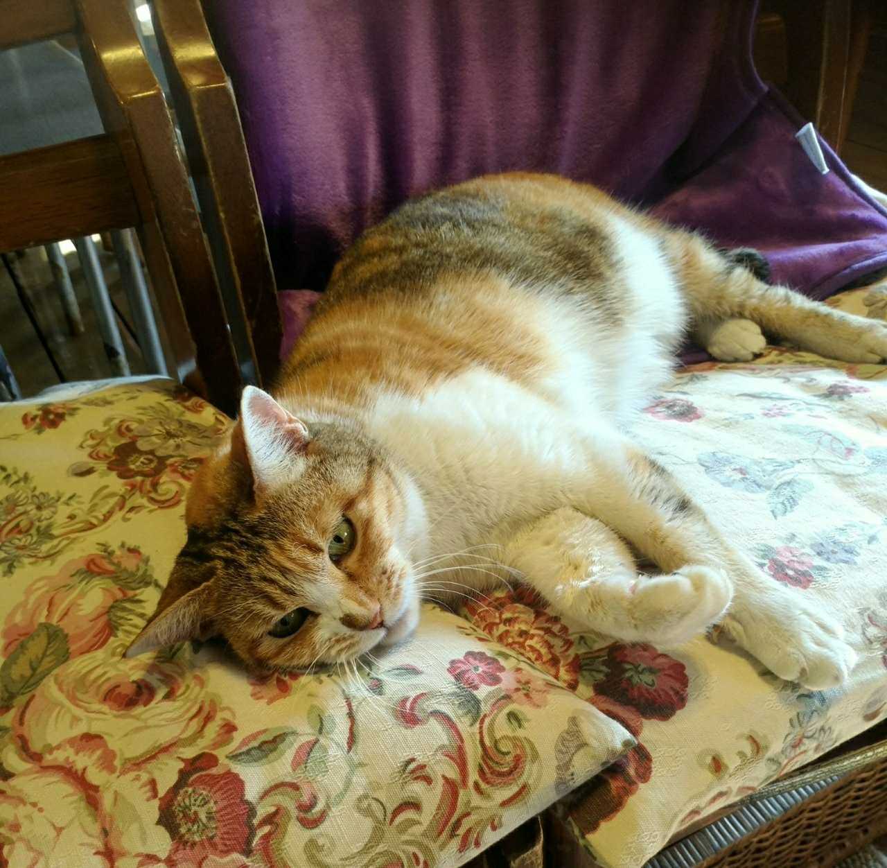 12ページ目の スキューバダイビング 勝浦アウターのブログ 楽天ブログ