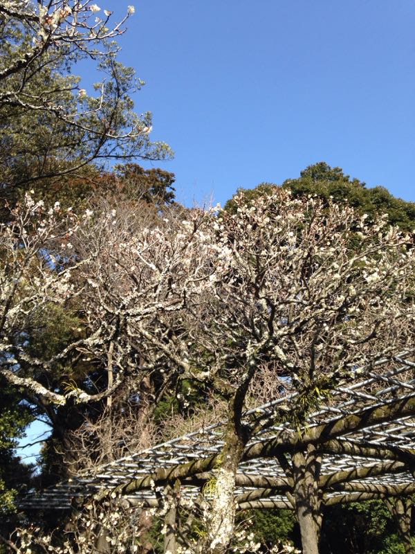 rblog-20160229165152-03.jpg