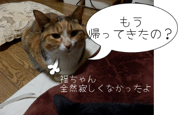 P6070074.png