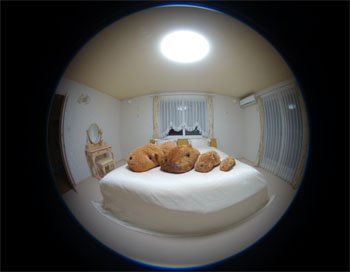 RX100 4.jpg