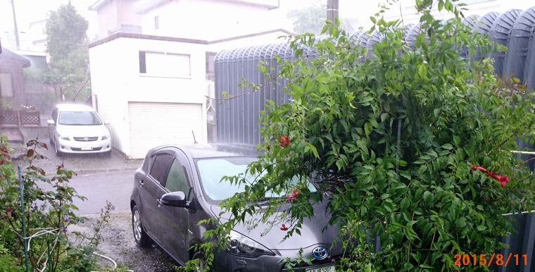 ８／１１雷雨.jpg