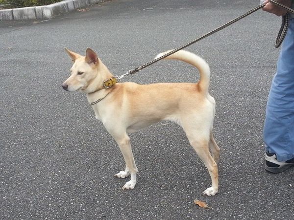 rblog-20141006221634-02.jpg