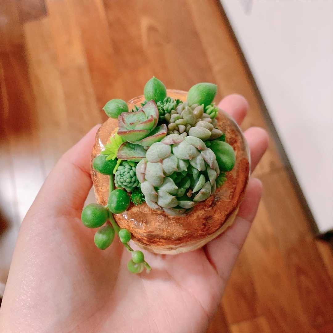 スイーツモルタル鉢作り | スイーツモルタル鉢作り！ - 楽天ブログ