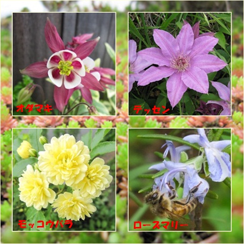 花