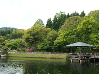 P5050694.JPG