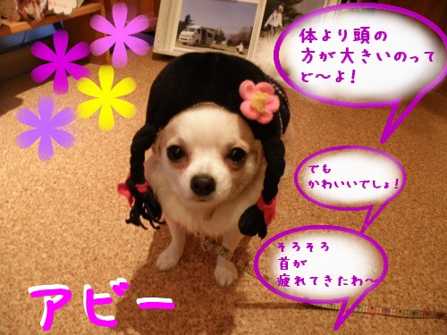 ｱﾋﾞｰ (2).JPG